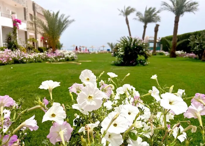 Apartment Cecelia Private Beachaccess For Families, Near Airport *